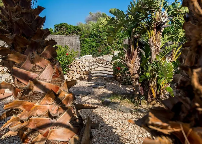 Eduard * ビニベカ